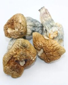 Albino Penis Envy mushrooms for Sale