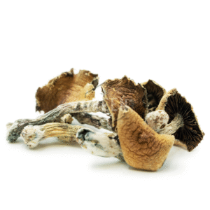PSILOCYBIN MAGIC MUSHROOMS