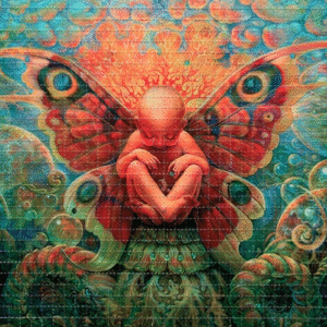 Lsd sheets Online