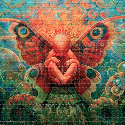 Lsd sheets Online